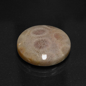 Diaspro naturale multicolore da 12,45 ct, taglio rotondo, opaco