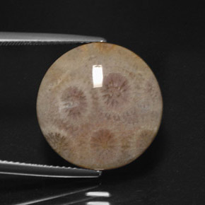 Diaspro naturale multicolore da 12,45 ct, taglio rotondo, opaco