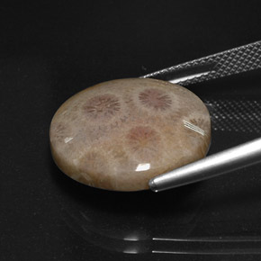 Diaspro naturale multicolore da 12,45 ct, taglio rotondo, opaco