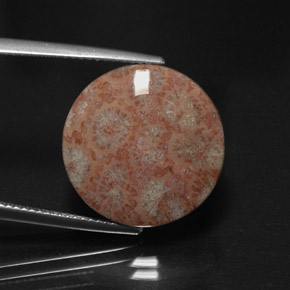 Diaspro naturale multicolore da 11,73 ct, taglio rotondo, opaco