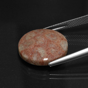 Diaspro naturale multicolore da 11,73 ct, taglio rotondo, opaco