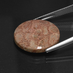 Diaspro naturale multicolore da 13,65 ct, taglio rotondo, opaco