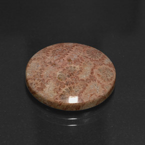 Diaspro naturale multicolore da 13,65 ct, taglio rotondo, opaco
