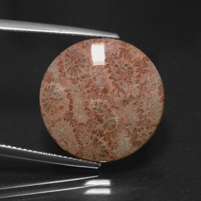Diaspro naturale multicolore da 13,65 ct, taglio rotondo, opaco