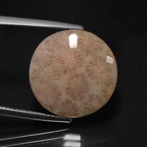 Diaspro naturale multicolore da 10,99 ct, taglio rotondo, opaco