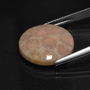 Diaspro naturale multicolore da 10,99 ct, taglio rotondo, opaco