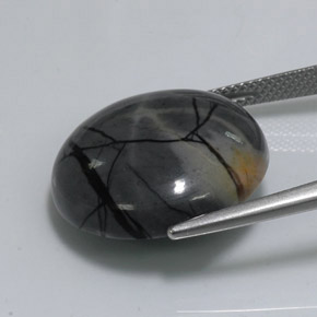 Diaspro naturale multicolore da 18,77 ct, taglio rotondo, opaco