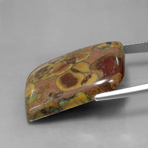 Diaspro Multicolore naturale da 34.76 ct, Forma fantasia, Opaco