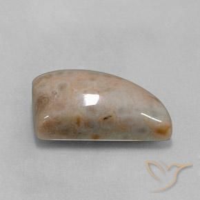 Diaspro Multicolore naturale da 12.74 ct, Taglio a fantasia, Opaco