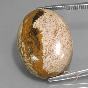 34.16ct Naturale Multicolore Diaspro, Ovale, Opaco