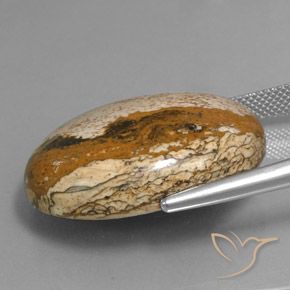Diaspro Multicolore naturale da 34.16 ct, Ovale, Opaco