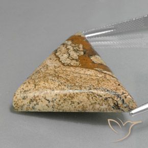 Diaspro Multicolore naturale da 53.88 ct, Taglio trillion, Opaco