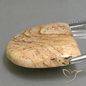 Diaspro Multicolore naturale da 33.01 ct, Taglio a fantasia, Opaco
