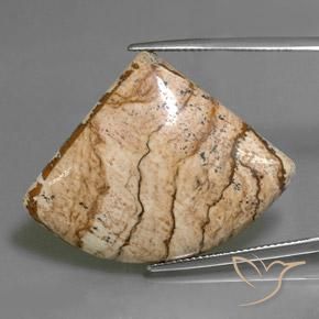 35.80ct Naturale Multicolore Diaspro, Taglio a fantasia, Opaco