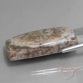 Diaspro Multicolore naturale da 58.74 ct, Taglio a baguette, Opaco