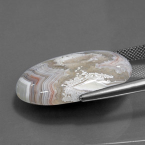 Diaspro Multicolore naturale da 24.90 ct, Taglio ovale, Opaco