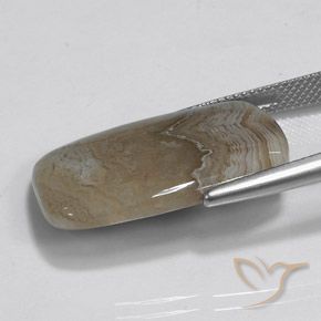 Diaspro Multicolore naturale da 15.42 ct, Taglio a baguette, Opaco