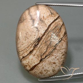40.47ct Naturale Multicolore Diaspro, Ovale, Opaco