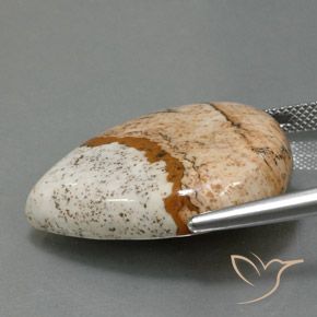 Diaspro Multicolore naturale da 31.10 ct, Forma a pera, Opaco