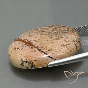 Diaspro Multicolore naturale da 44.28 ct, Ovale, Opaco