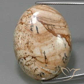 44.54ct Naturale Multicolore Diaspro, Ovale, Opaco