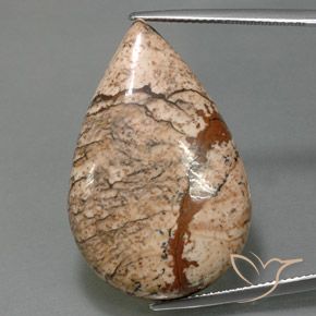 36.58ct Naturale Multicolore Diaspro, Forma a pera, Opaco