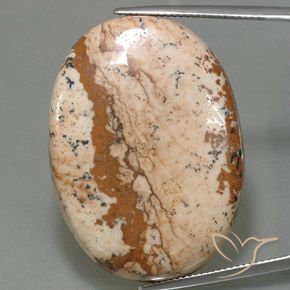 Diaspro Multicolore naturale da 54.96 ct, Ovale, Opaco