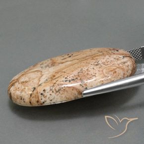 Diaspro Multicolore naturale da 49.05 ct, Ovale, Opaco