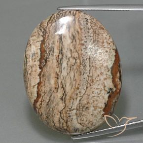 49.58ct Naturale Multicolore Diaspro, Ovale, Opaco