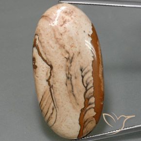 44.16ct Naturale Multicolore Diaspro, Ovale, Opaco