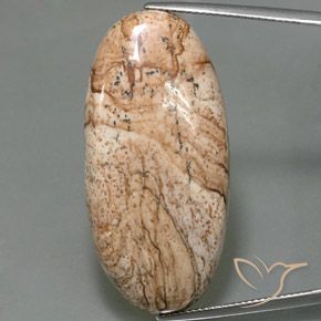 44.33ct Naturale Multicolore Diaspro, Ovale, Opaco