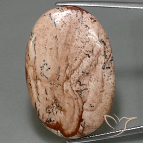 40.50ct Naturale Multicolore Diaspro, Ovale, Opaco