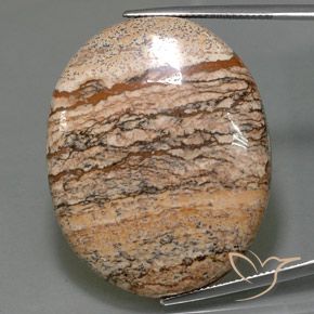 65.05ct Naturale Multicolore Diaspro, Ovale, Opaco