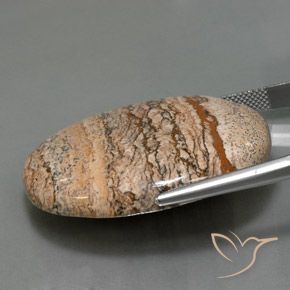 Diaspro Multicolore naturale da 65.05 ct, Ovale, Opaco