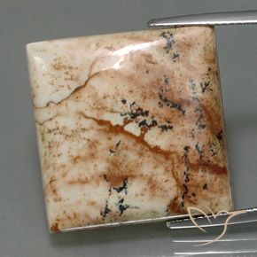 25.13ct Naturale Multicolore Diaspro, Quadrato, Opaco