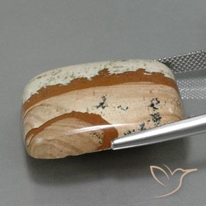 Diaspro Multicolore naturale da 35.02 ct, Quadrato, Opaco