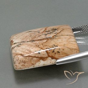 Diaspro Multicolore naturale da 35.31 ct, Quadrato, Opaco