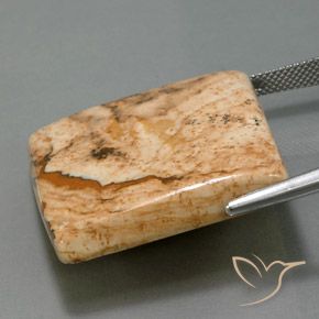 Diaspro Multicolore naturale da 51.28 ct, Taglio a baguette, Opaco