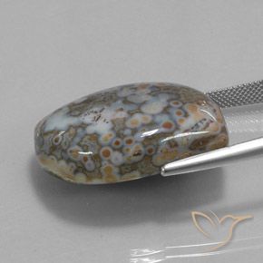 Diaspro Multicolore naturale da 45.73 ct, Taglio a fantasia, Opaco