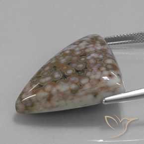 Diaspro Multicolore naturale da 40.07 ct, Taglio trillion, Opaco