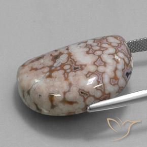Diaspro Multicolore naturale da 35.32 ct, Taglio a fantasia, Opaco