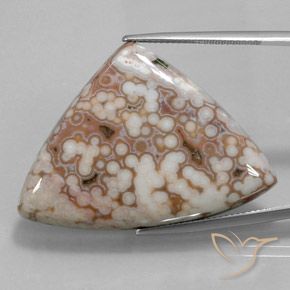 Diaspro Multicolore naturale da 48.51 ct, Taglio trillion, Opaco