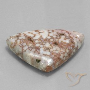Diaspro Multicolore naturale da 48.51 ct, Taglio trillion, Opaco