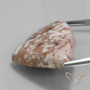 Diaspro Multicolore naturale da 48.51 ct, Taglio trillion, Opaco