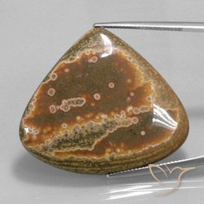 41.62ct Naturale Multicolore Diaspro, Forma a pera, Opaco