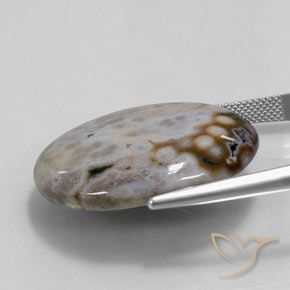 Diaspro Multicolore naturale da 36.14 ct, Ovale, Opaco