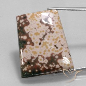 65.30ct Naturale Multicolore Diaspro, Taglio a fantasia, Opaco