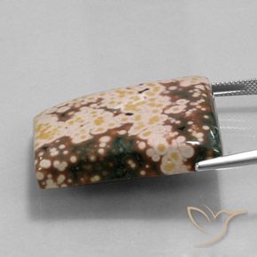 Diaspro Multicolore naturale da 65.30 ct, Taglio a fantasia, Opaco