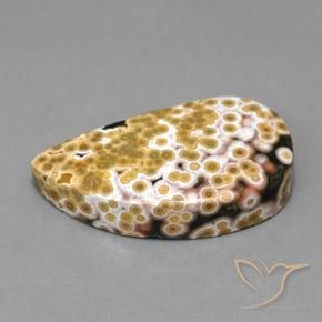 Diaspro Multicolore naturale da 11.97 ct, Taglio a fantasia, Opaco