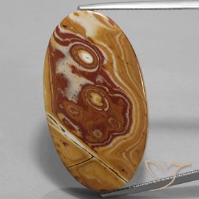 34.73ct Naturale Multicolore Diaspro, Ovale, Opaco